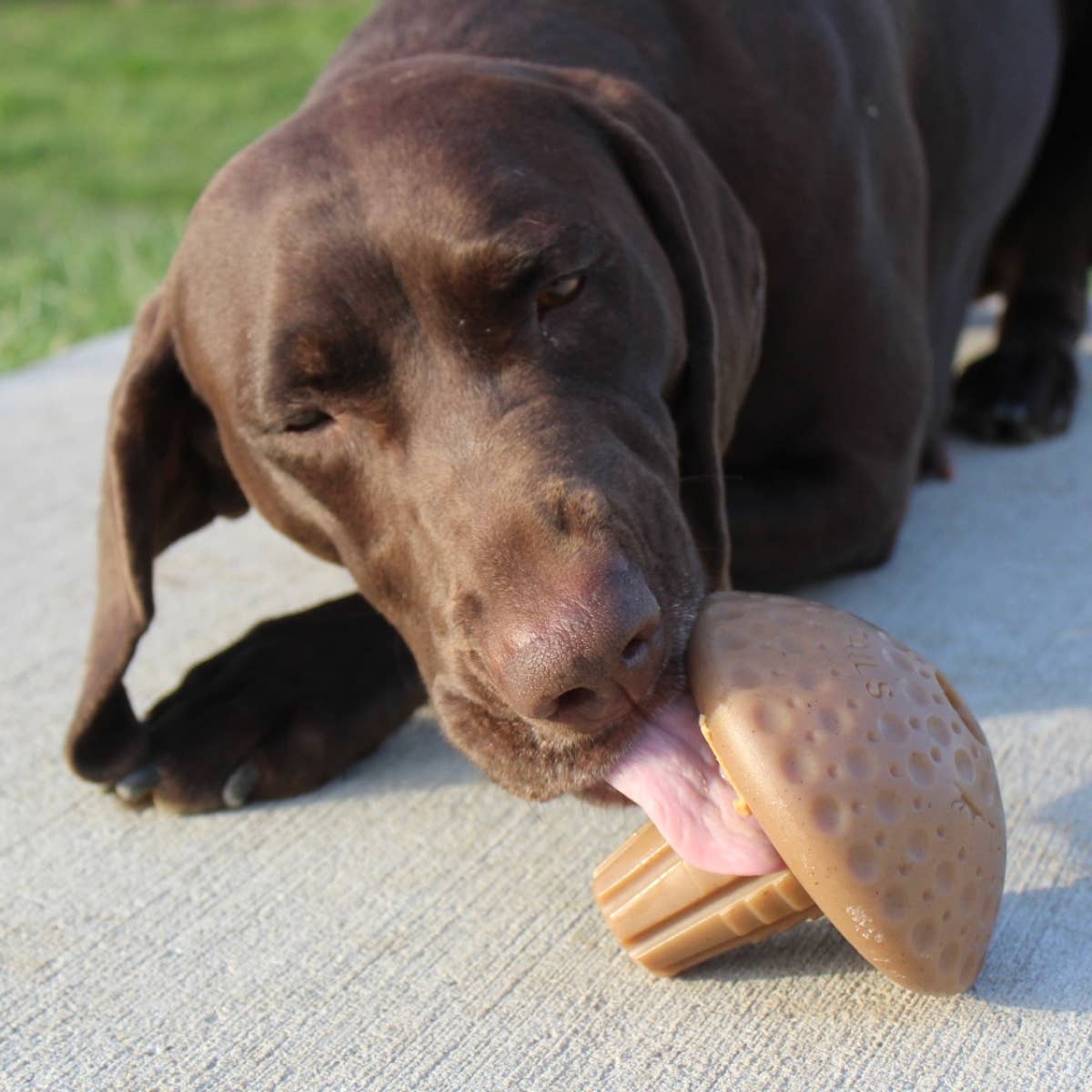 Tall Tails - Shroom Chew Dog Toy