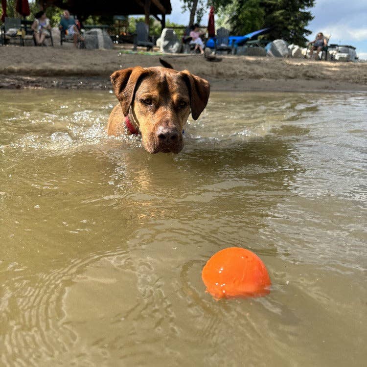 SodaPup - Squeak Ball Ultra Durable PUP-X Squeaking, Chewing, Floating & Retrieving Ball - Large Squeaker Ball - glow in the dark
