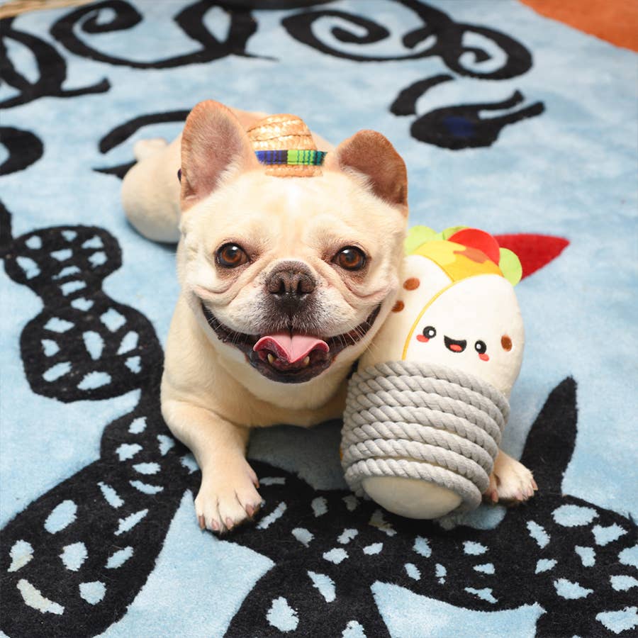Hugsmart Products Inc - HugSmart Pet - Fiesta Chewsday | Burrito - Dog Rope Toy
