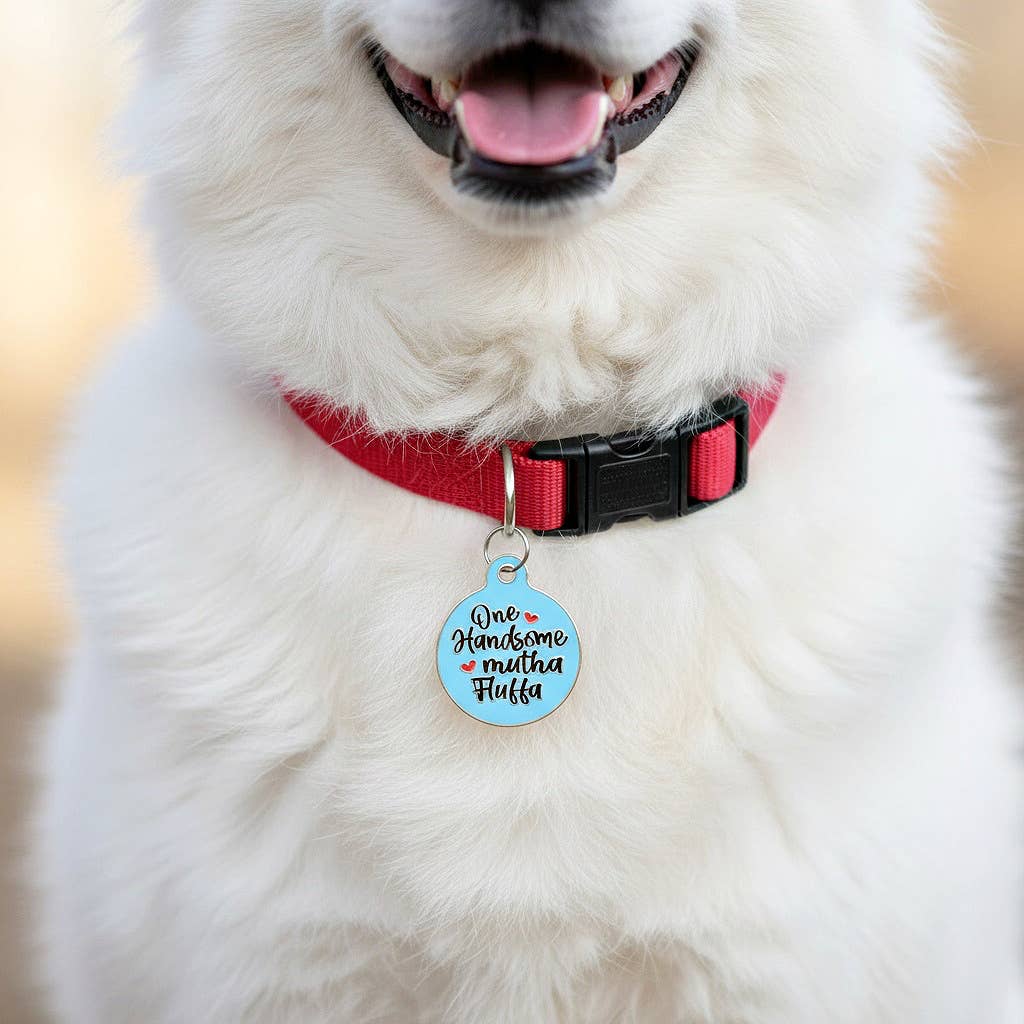 Bad Tags - Enamel Dog ID Tag with Personalized QR Code - Mama's Boy - Engraved QR Code / Large 1.25"