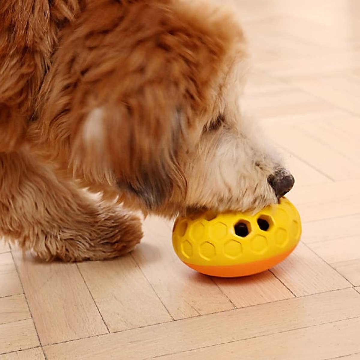Tall Tails - Natural Rubber Bee Hive Reward Dog Toy