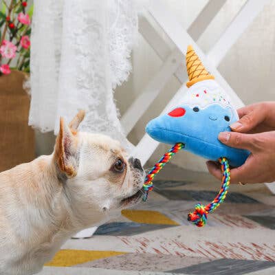 Hugsmart Products Inc - HugSmart Pet - Foodie Japan | Fuji Ice-cream - Dog Plush Toy