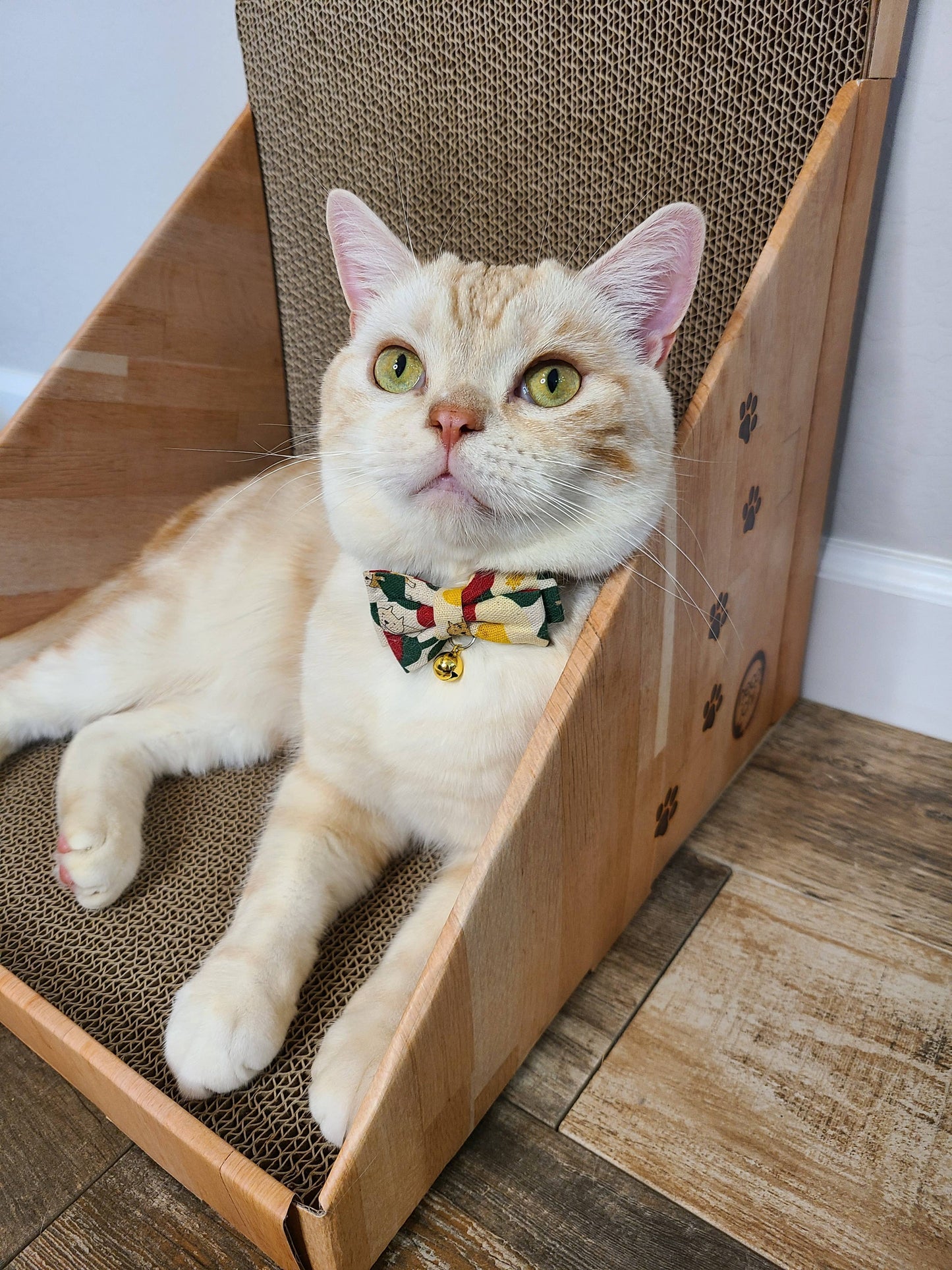 MOON-X USA, INC. - Stretch & Scratch Wall Cat Scratcher