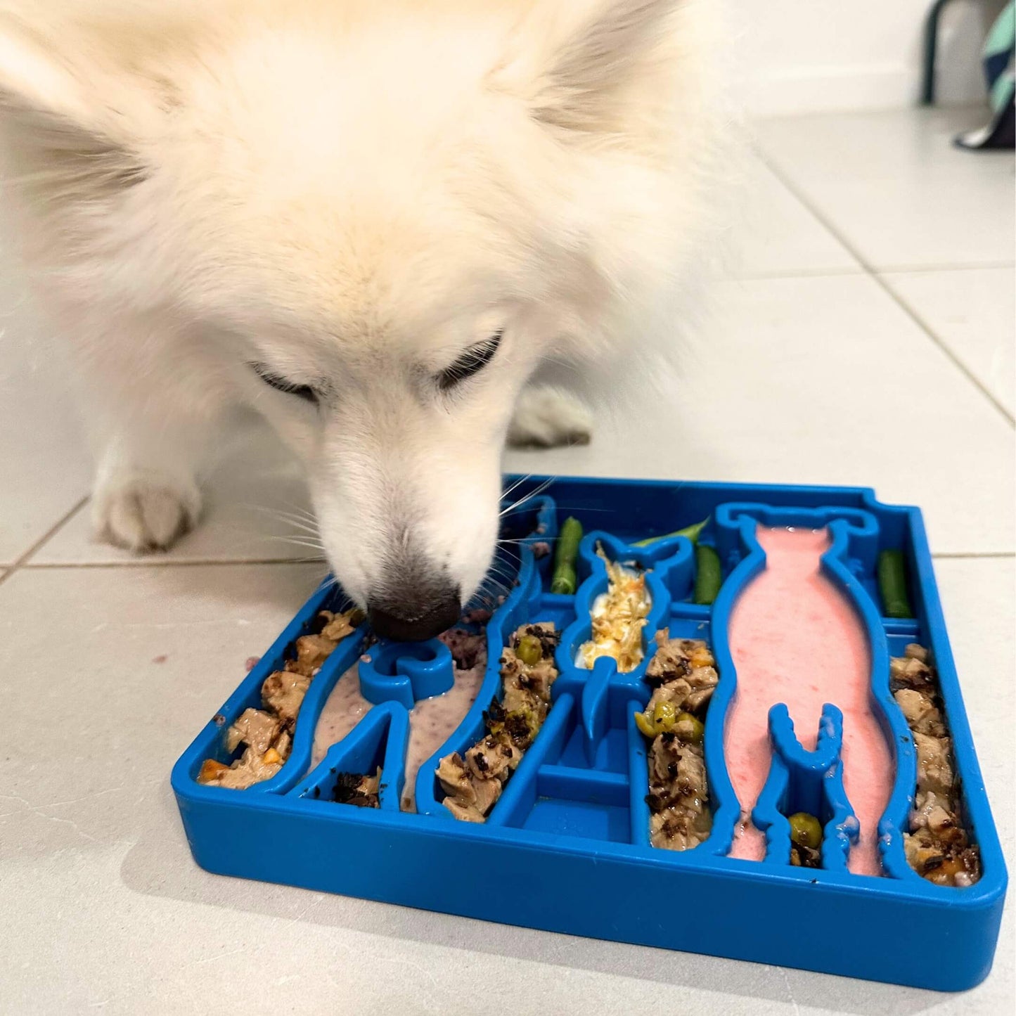 SodaPup - Waiting Dogs Design eTray Enrichment Tray for Dogs
