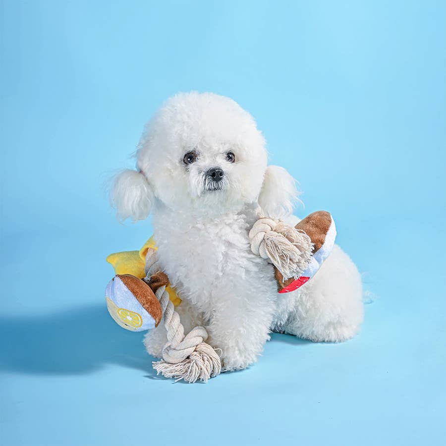 Hugsmart Products Inc - HugSmart Pet - Beach Daze | Seaside Oyster - Dog Rope Toy
