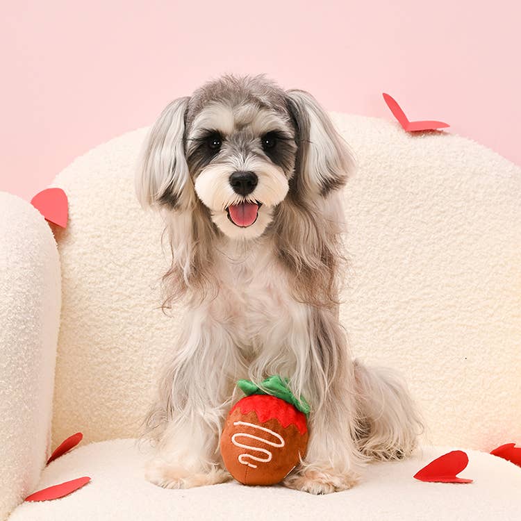 Hugsmart Products Inc - HugSmart Pet - Woof Love | Strawberry Chocolate