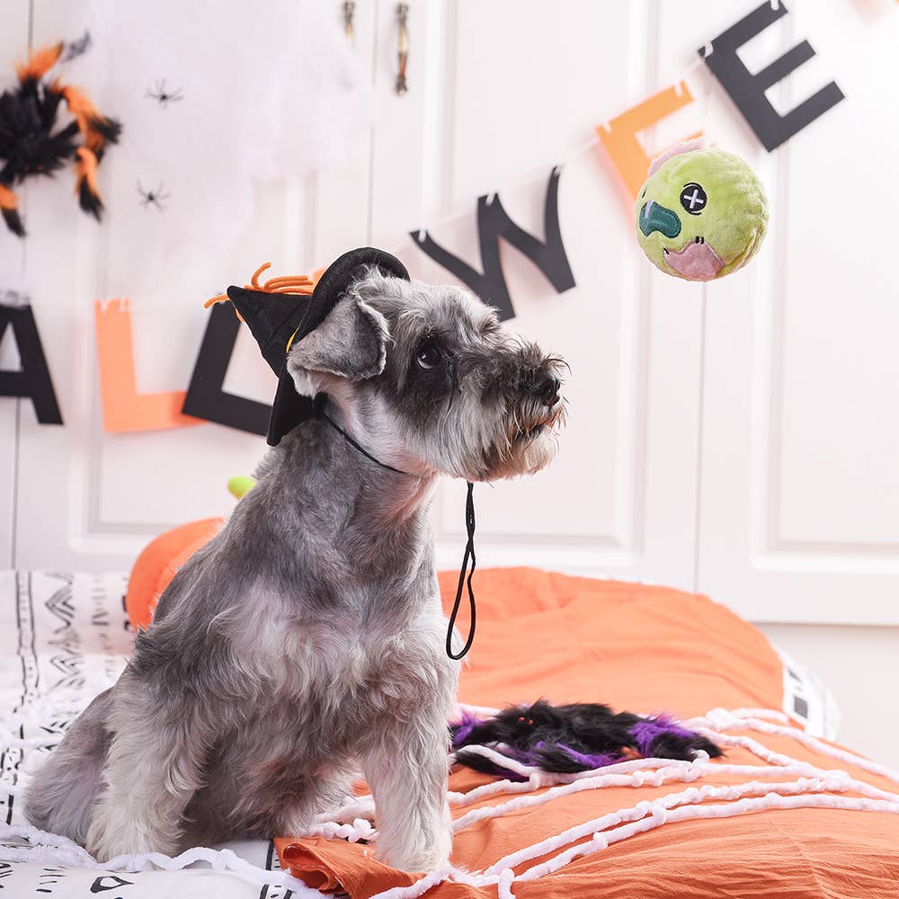 Hugsmart Products Inc - HugSmart Pet | Howloween Night – Zombie - Dog Ball Toy