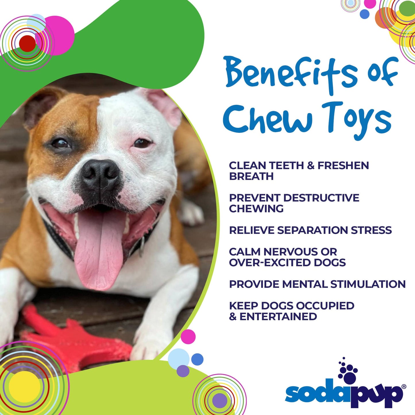 SodaPup - Electric Guitar Ultra Durable Nylon Dog Chew Toy for Aggress