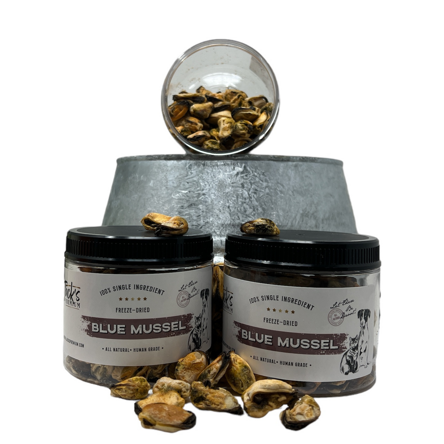 Mussels Freeze Dried