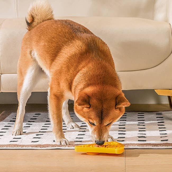 Hugsmart Products Inc - HugSmart Pet - Dog Bowl Pet lick mat | Pizza Slow Feeder