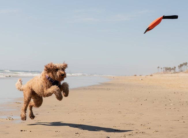 Katie's Bumpers - Best KB Mini Sqwuggie Tug Toy