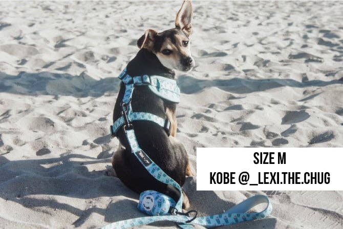Mina + Pup - Blue Pupshake Adjustable Dog or Cat Harness