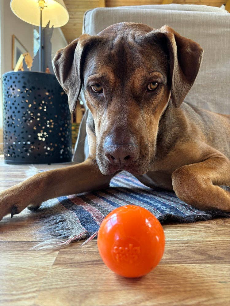 SodaPup - Squeak Ball Ultra Durable PUP-X Squeaking, Chewing, Floating & Retrieving Ball - Large Squeaker Ball - glow in the dark