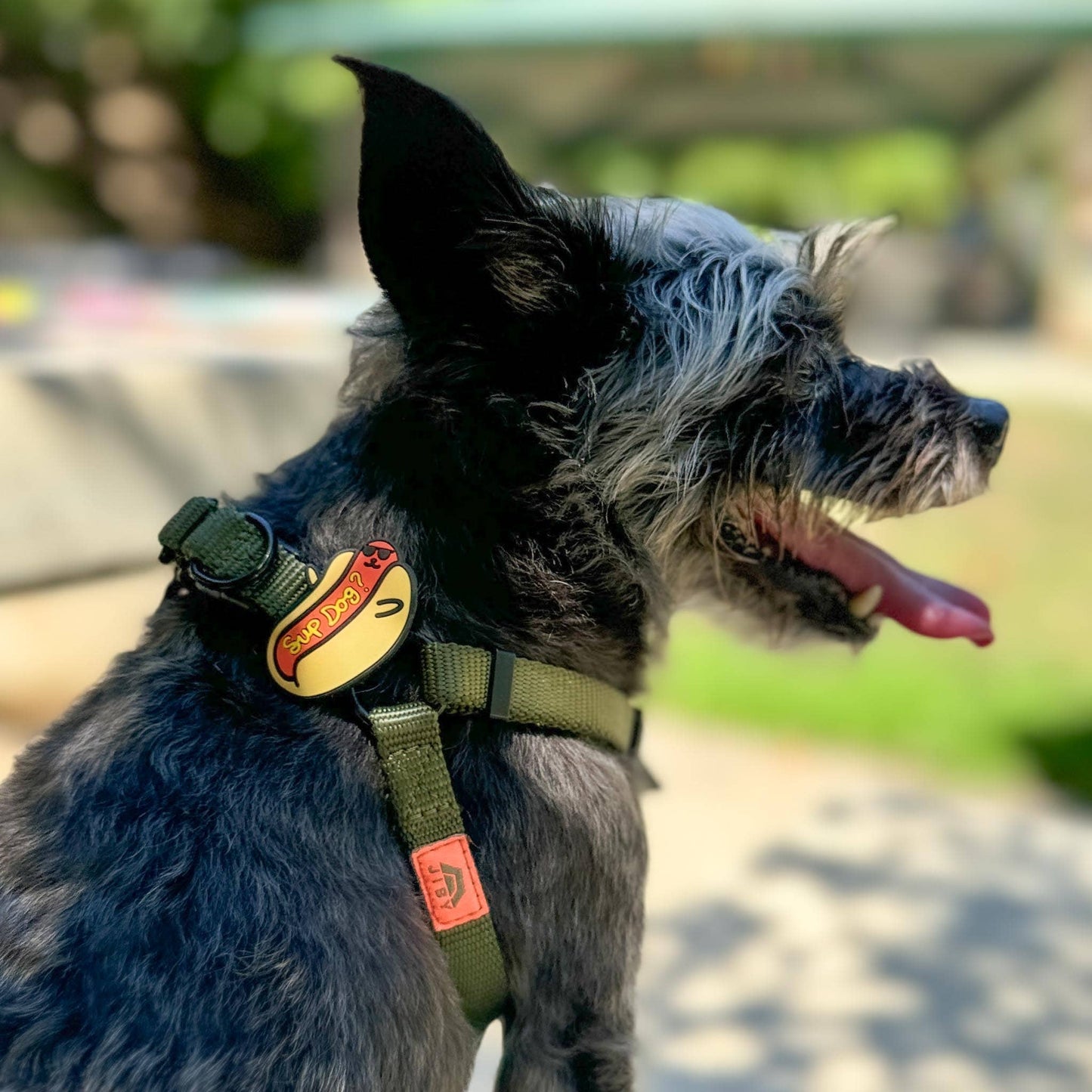 Jiby Dog Crew - Sup Dog Jiby