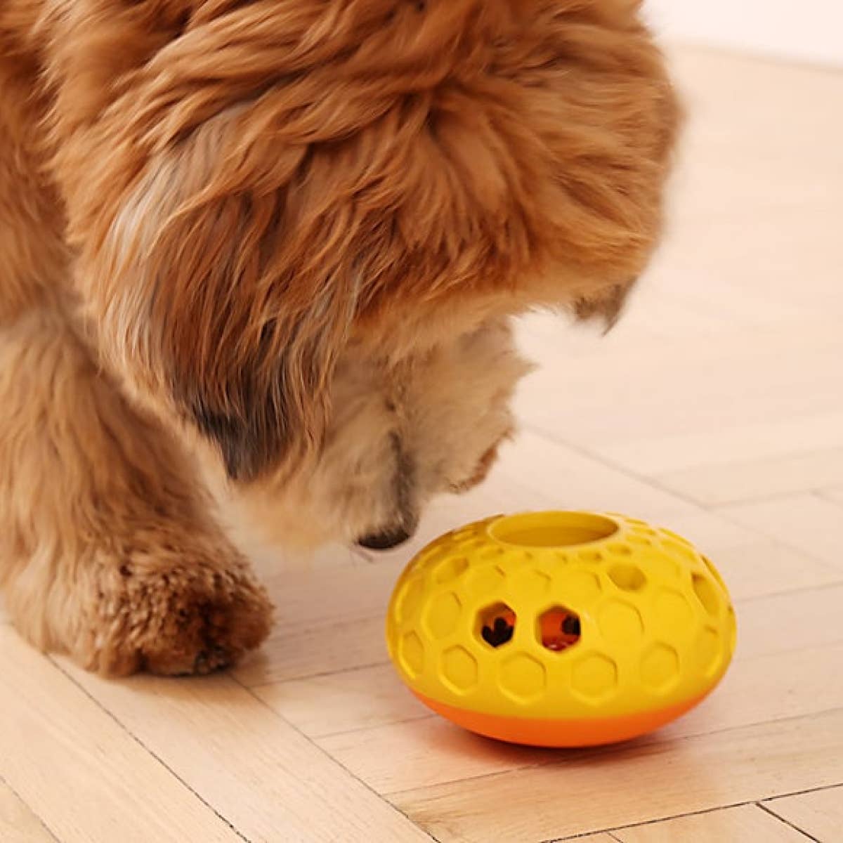 Tall Tails - Natural Rubber Bee Hive Reward Dog Toy