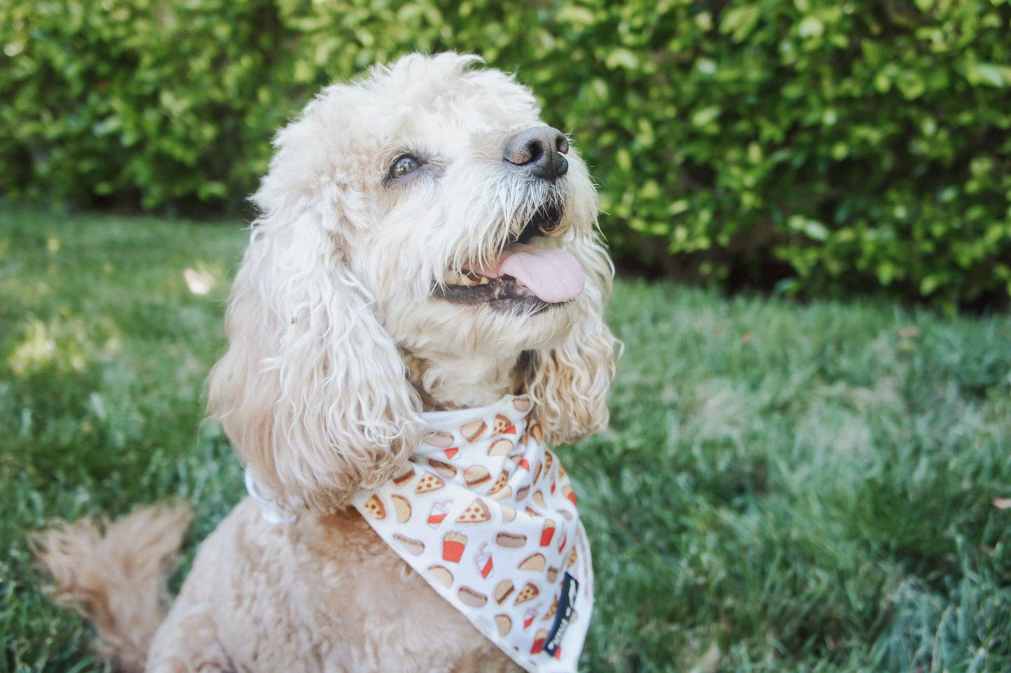 Mina + Pup - Drive-In Diner Cooling Bandana