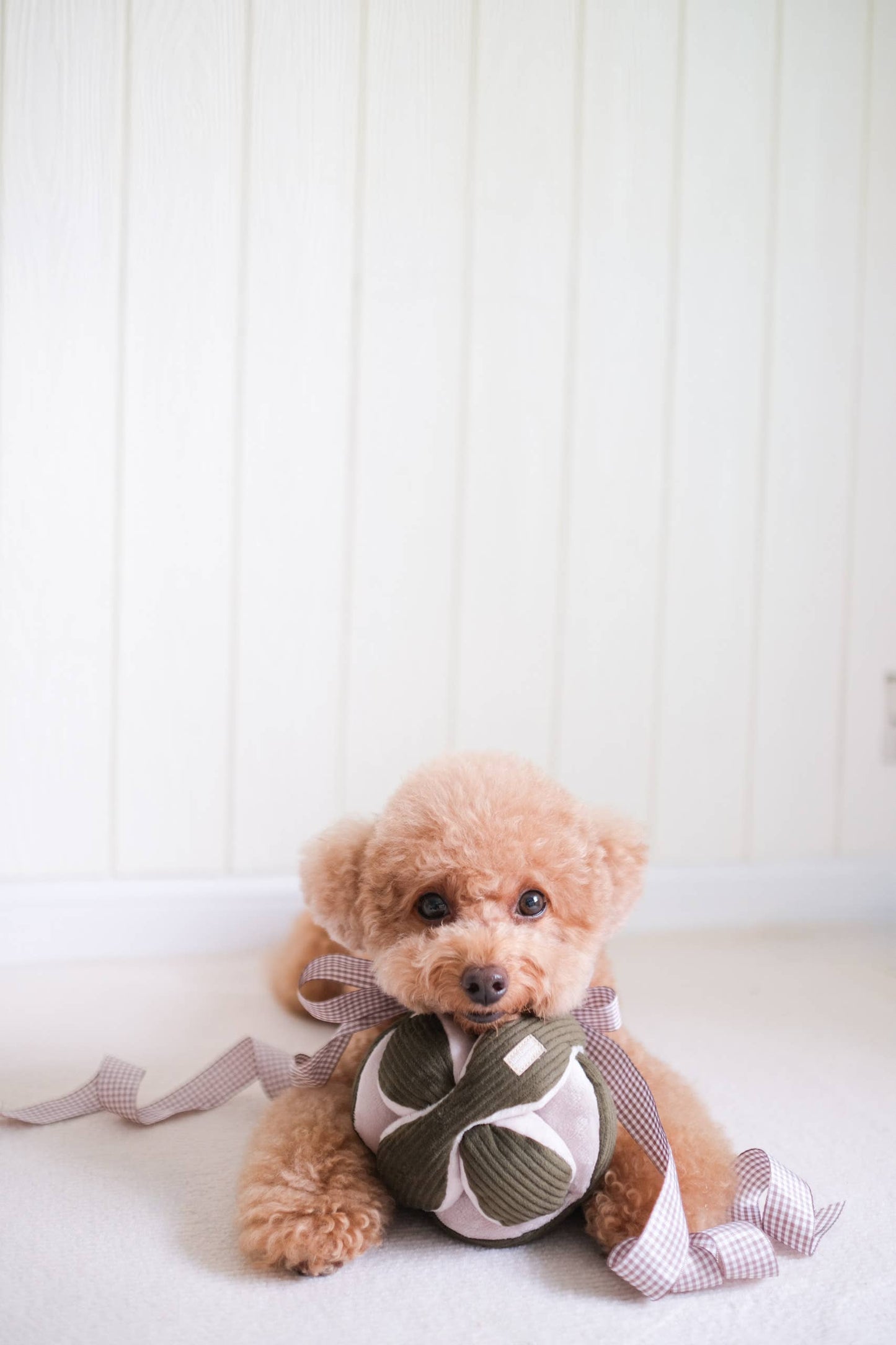 Lambwolf Collective - MONTI*//Enrichment Toy - Pink