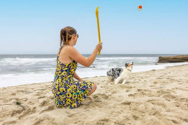 Project Hive Pet Company - Hive Zoomer Dog Toy Launcher & Looped Ball Combo Pack