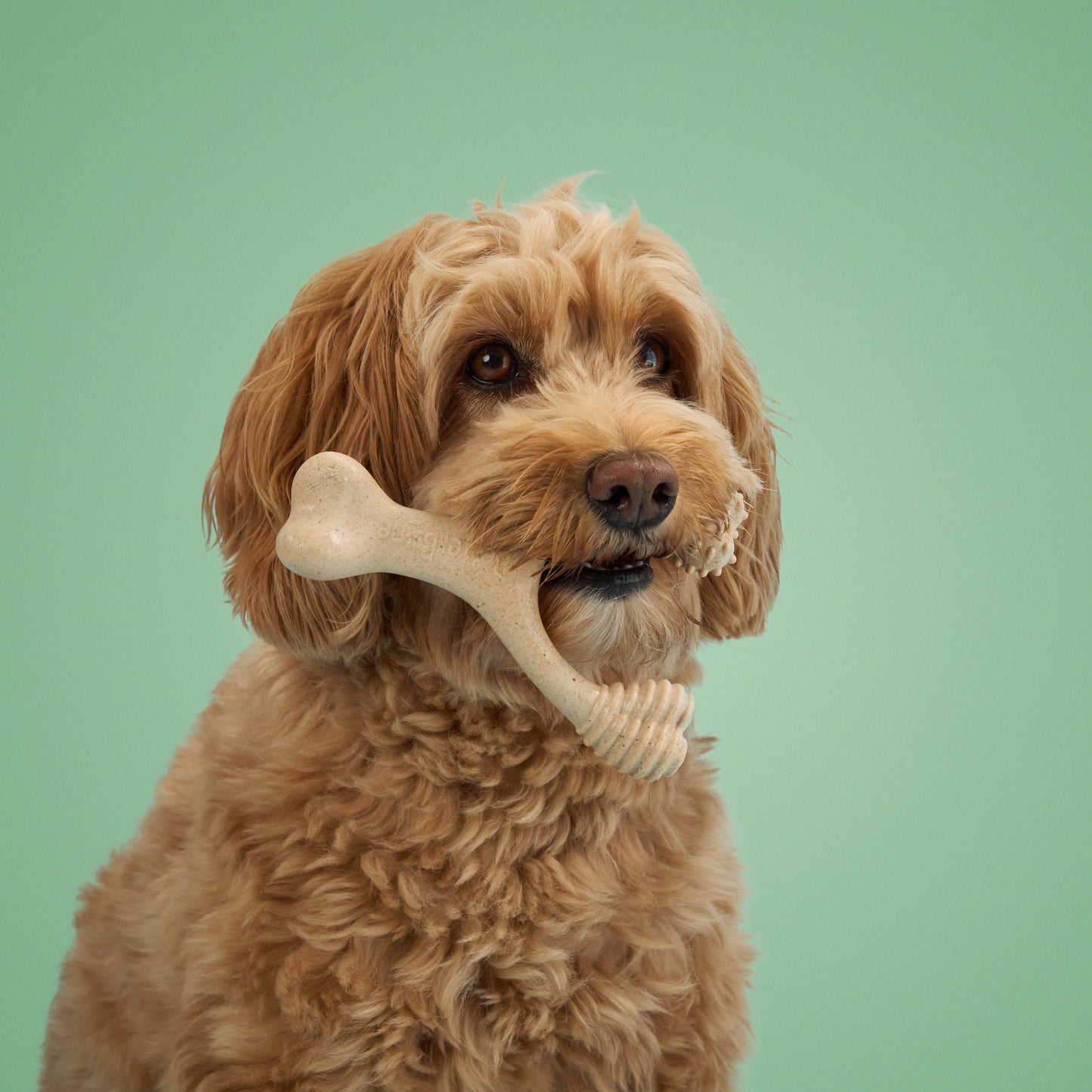 BetterBone Natural Dog Chews - BetterBone MEDIUM - Natural, No Nylon, Softer Than Nylon ECO - Beef / Large (dogs over 25 lbs)