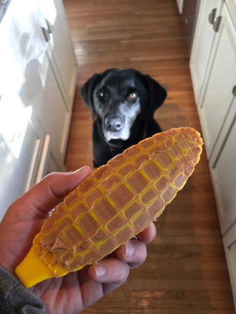 SodaPup - SP Nylon Corn on the Cob Chew Toy - Medium/Large