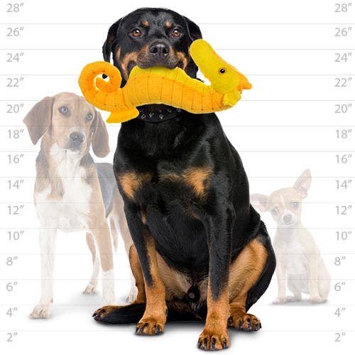 Tuffy Dog Toys - VIP Products - Mighty Ocean Seahorse, Plush, Squeaky Dog Toy