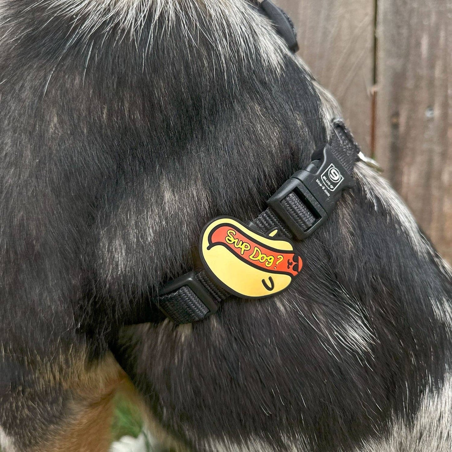 Jiby Dog Crew - Sup Dog Jiby