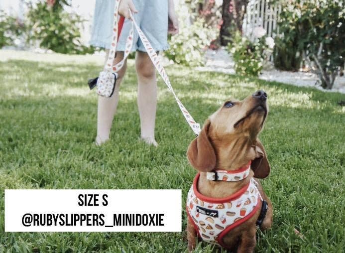 Mina + Pup - Drive-In Diner Reversible Harness