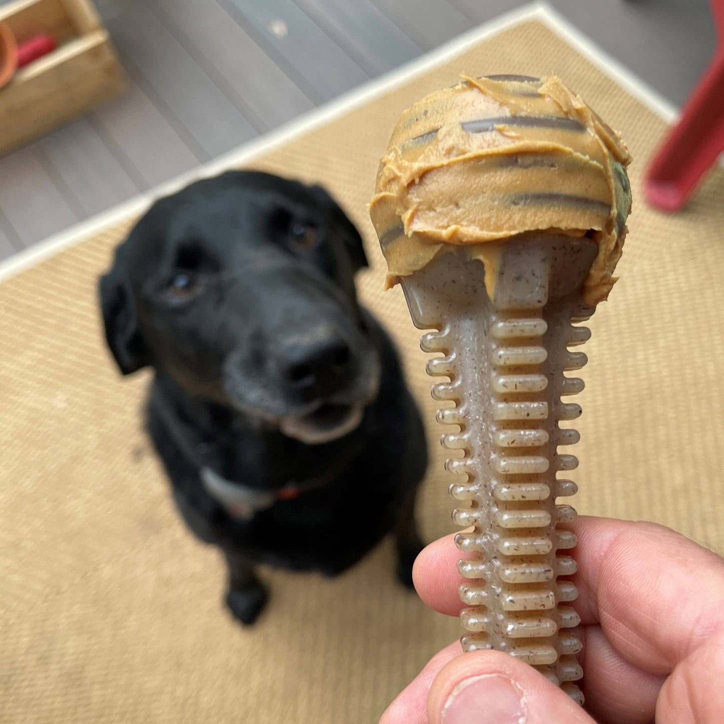 SodaPup - Honey Bone Dental Tower Ultra Durable Nylon Dog Chew Toy