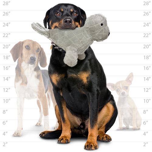 Tuffy Dog Toys - VIP Products - Mighty Arctic Seal, Plush, Squeaky Dog Toy
