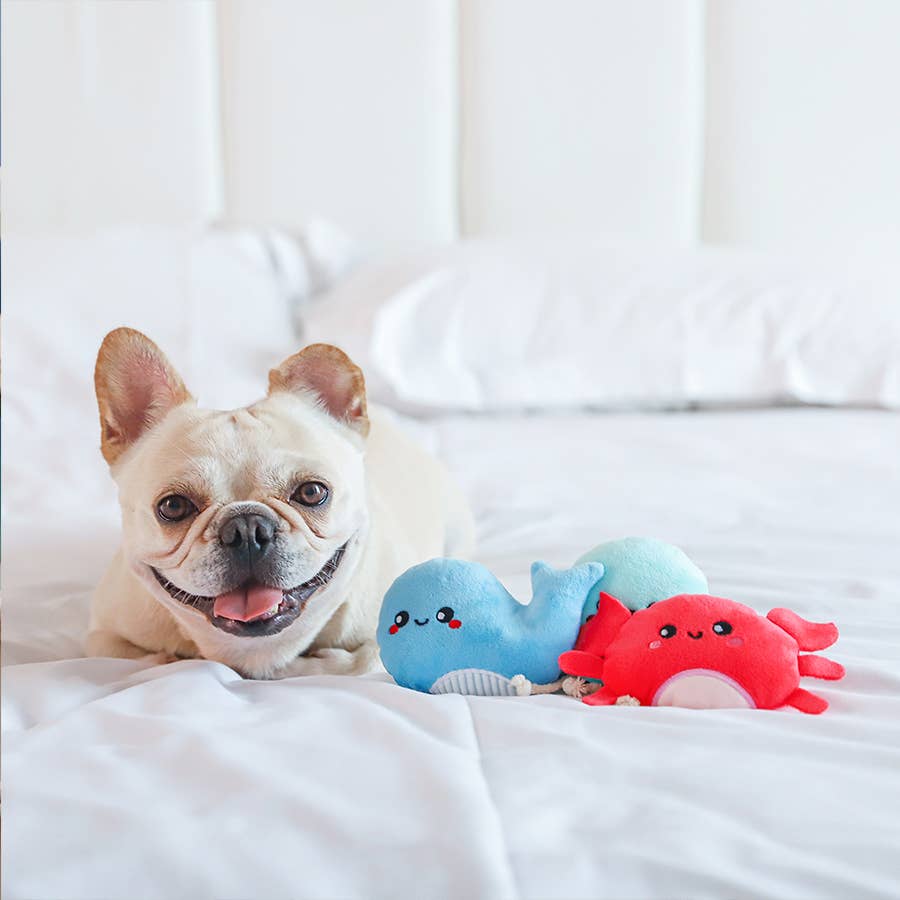 Hugsmart Products Inc - HugSmart Pet - Ocean Pals | Sea Creatures - Dog Plush Toy