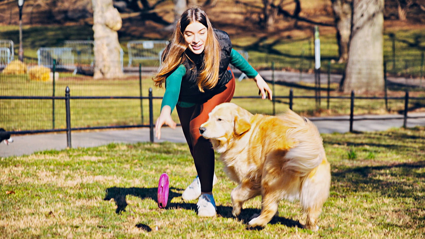 Tall Tails - GOAT Sport Ring Dog Toy - Large