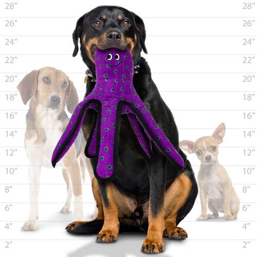 Tuffy Dog Toys - VIP Products - Tuffy Ocean Large Octopus, Durable, Tough, Squeaky Dog Toy - Doot's Pet LLC Collars For A Cause