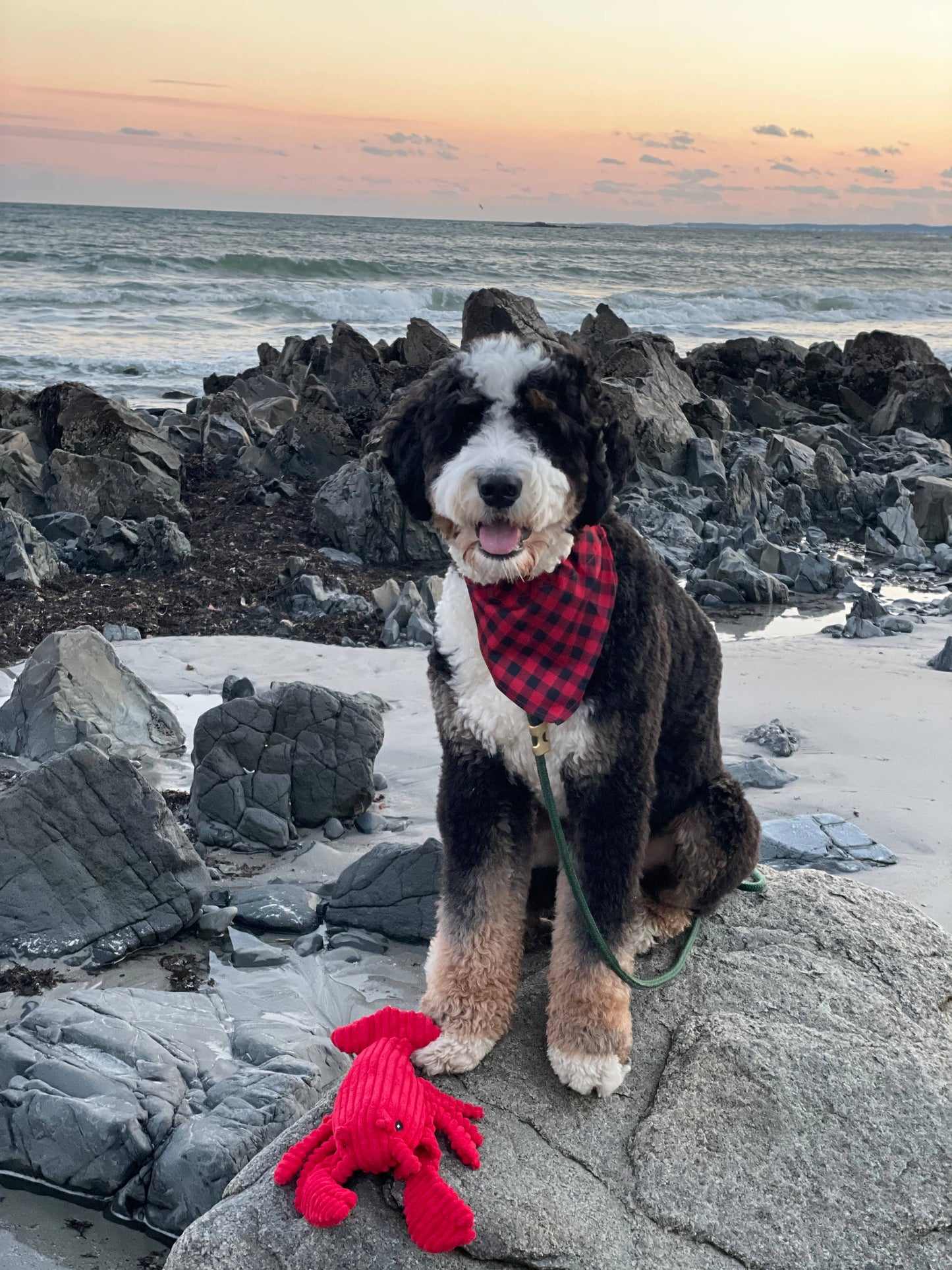 Tall Tails - Tall Tails Crunch Plush Lobster Dog Toy - 14"