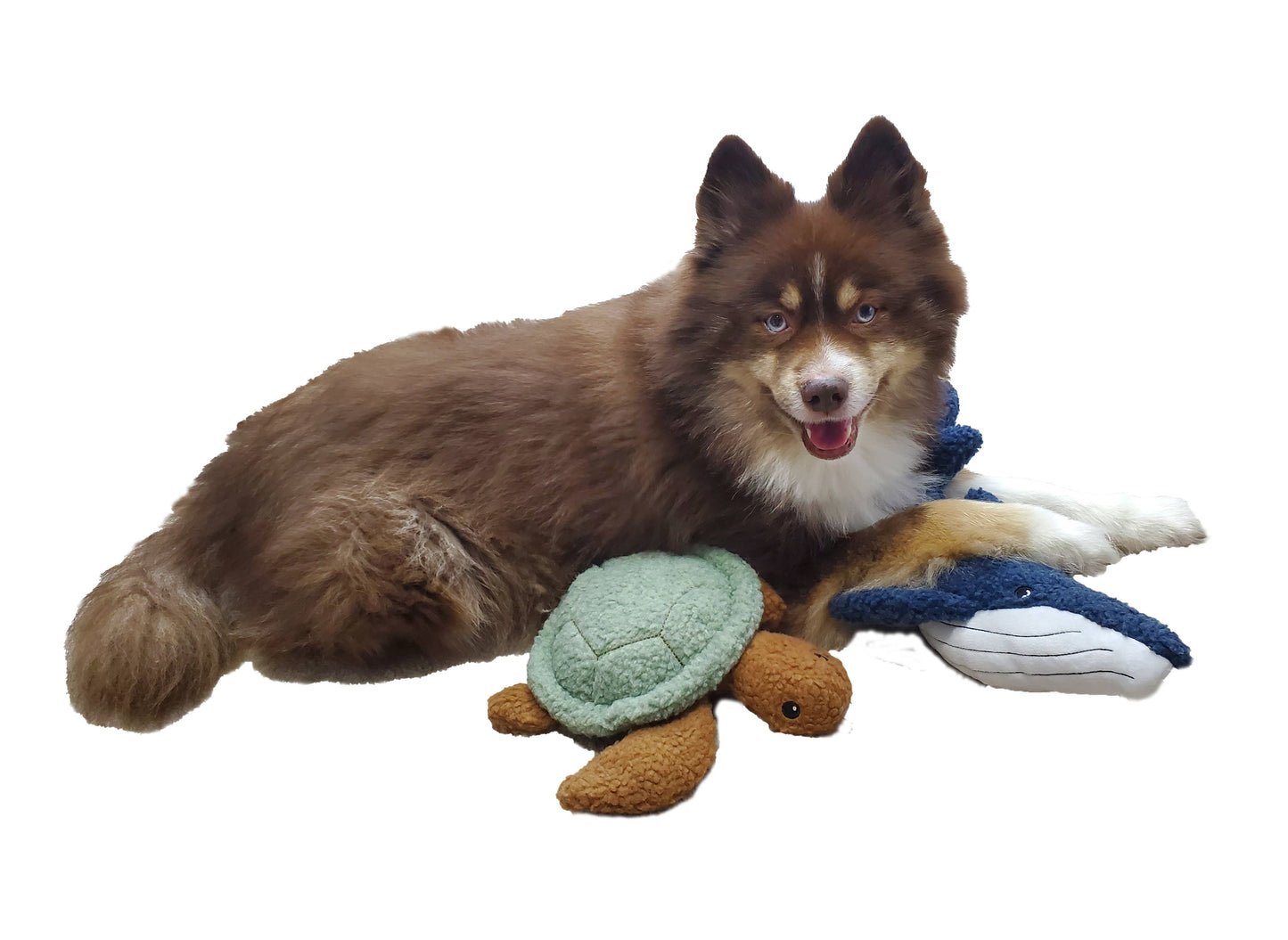 Barker's Bowtique - Sammy the Sea Turtle Fleece Dog Toy