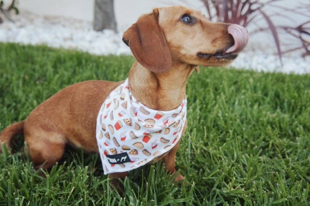 Mina + Pup - Drive-In Diner Cooling Bandana