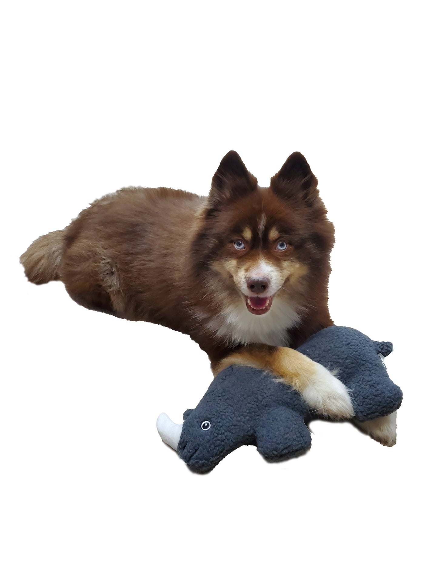 Barker's Bowtique - Gertie the Black Rhino Fleece Dog Toy