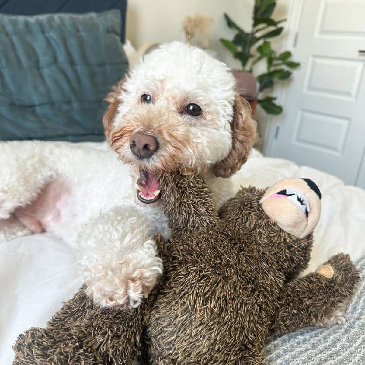 Tall Tails - Grizzly Rope Body Dog Toy
