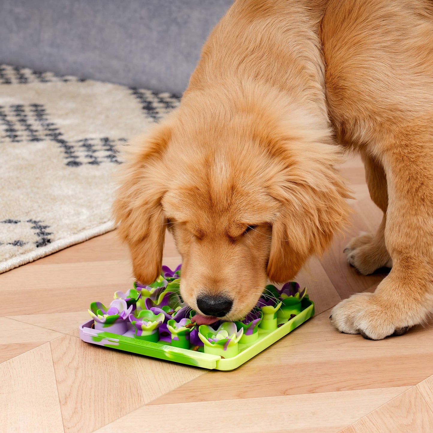 Tall Tails - Tall Tails Succulent Garden Foraging Mat for Dogs