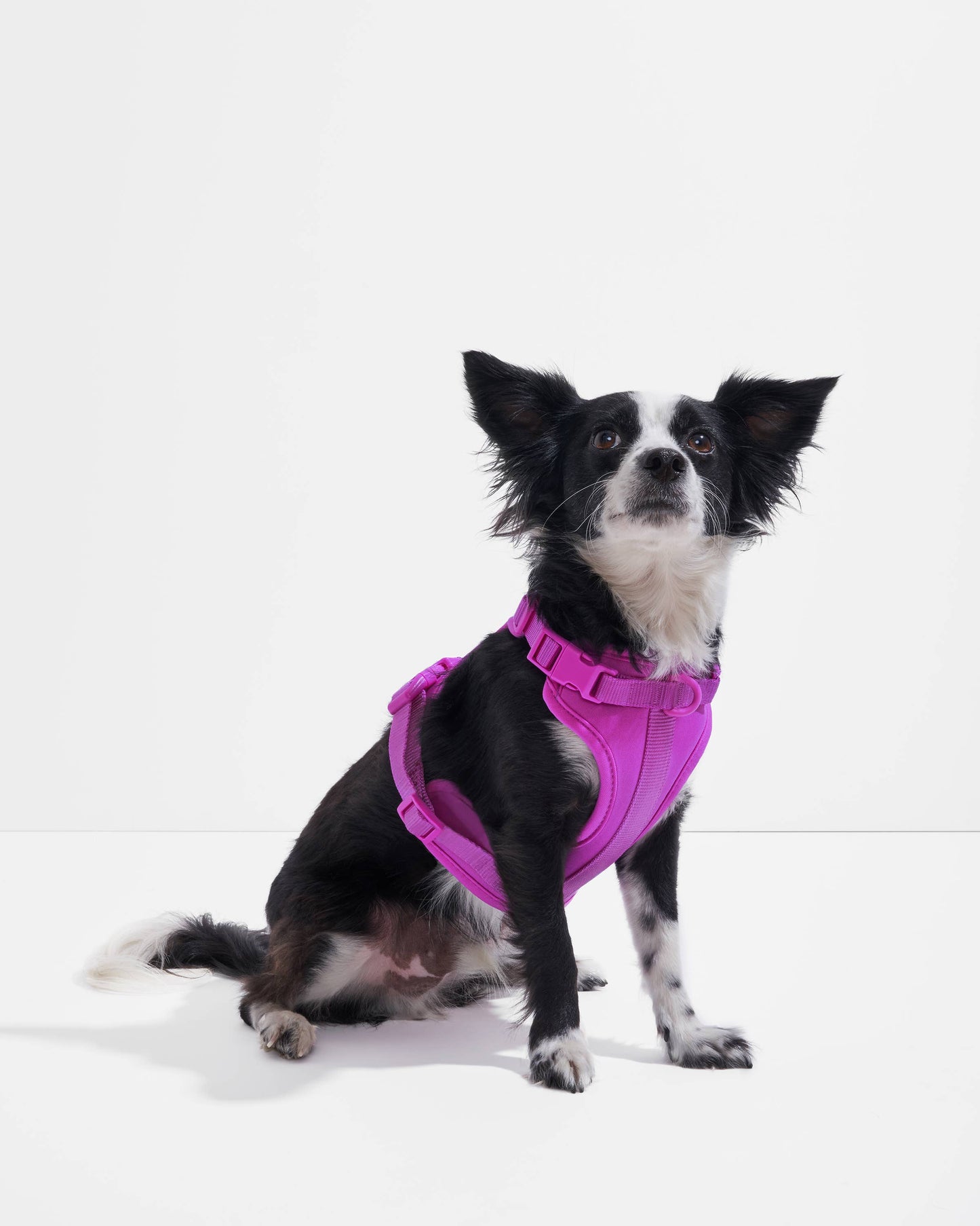 Wild One - Adjustable Comfort Dog Harness - Cocoa / SMALL