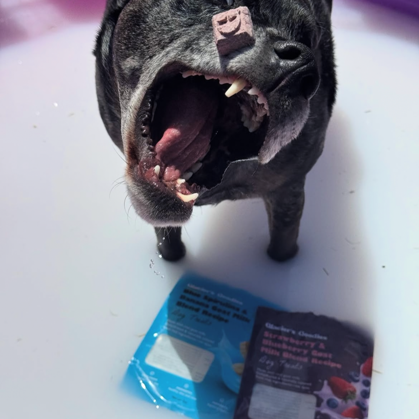 Glacier's Goodies - Goat Milk Dog Treats – Carob (7oz)