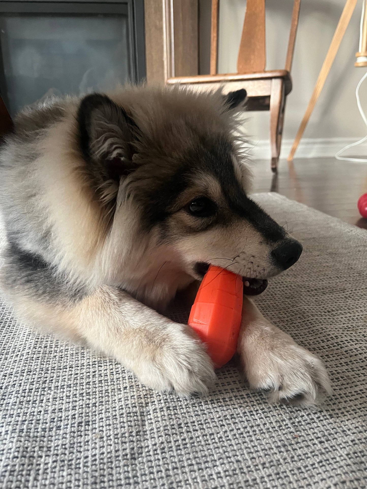 Spunky Pup - Treat Dispensing Fruits and Veggies - Carrot - Doot's Pet LLC Collars For A Cause