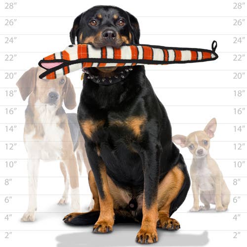 Tuffy Dog Toys - VIP Products - Tuffy Ocean Eel, Durable, Tough, Squeaky Dog Toy