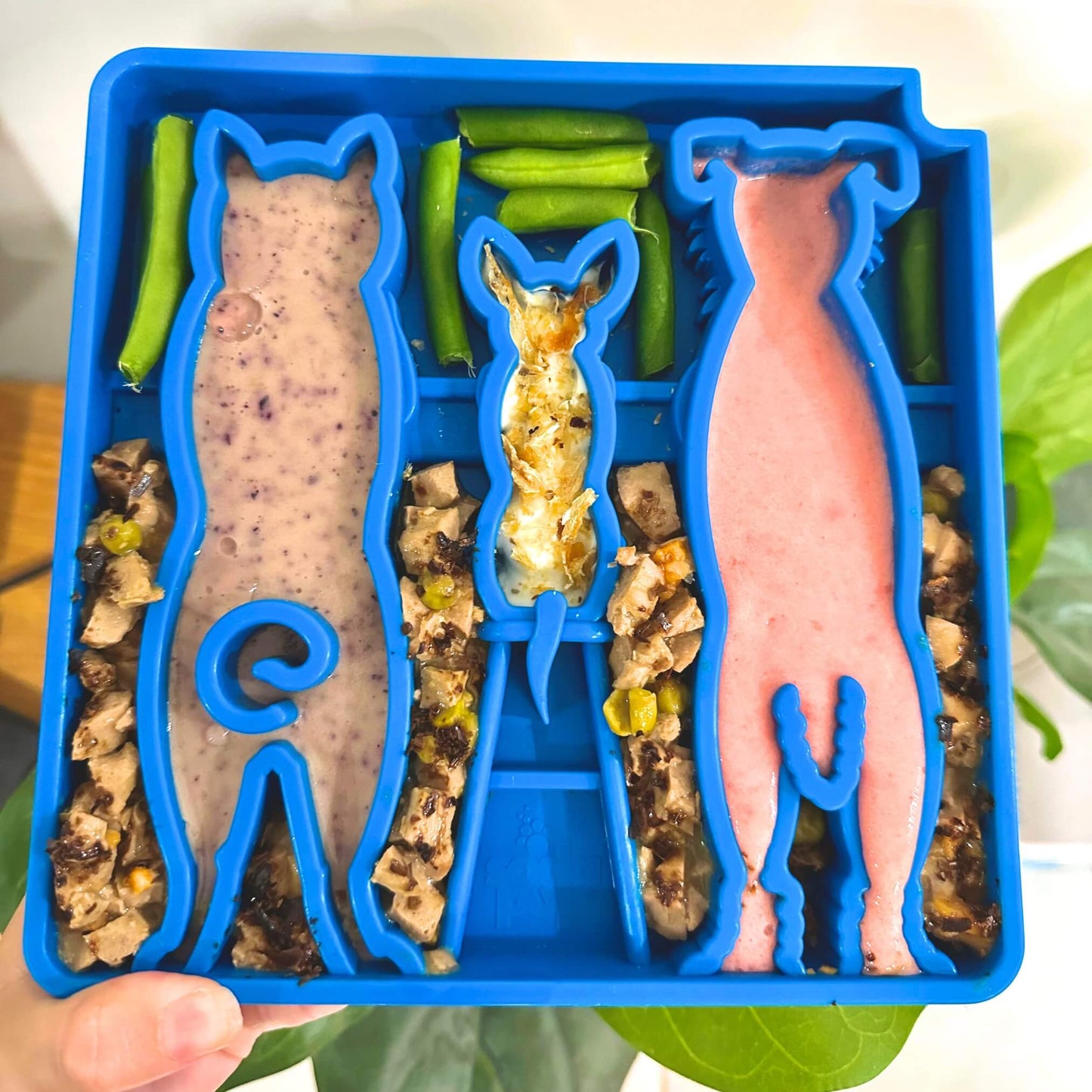 SodaPup - Waiting Dogs Design eTray Enrichment Tray for Dogs