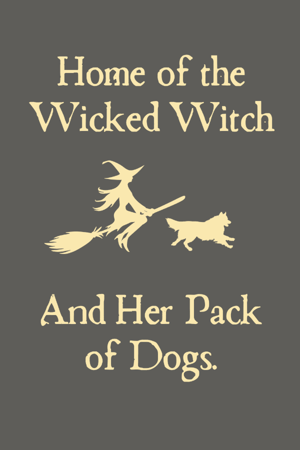 Wicked Witch Unisex Hoodie - Doot's Pet LLC Collars For A Cause