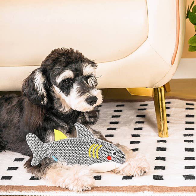 Hugsmart Products Inc - HugSmart Pet - Ocean Pals | Shark - Dog Plush Toy