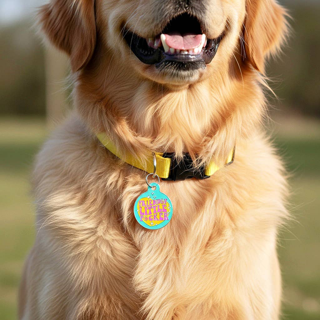 Bad Tags - Funny Dog ID Tag with Scannable QR Code - Friendly F*cker - Engraved QR Code / Small 1"