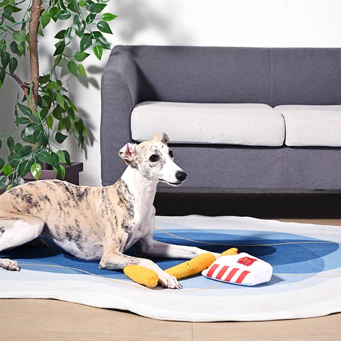 Hugsmart Products Inc - HugSmart Pet - Food Party | Mozzarella Sticks