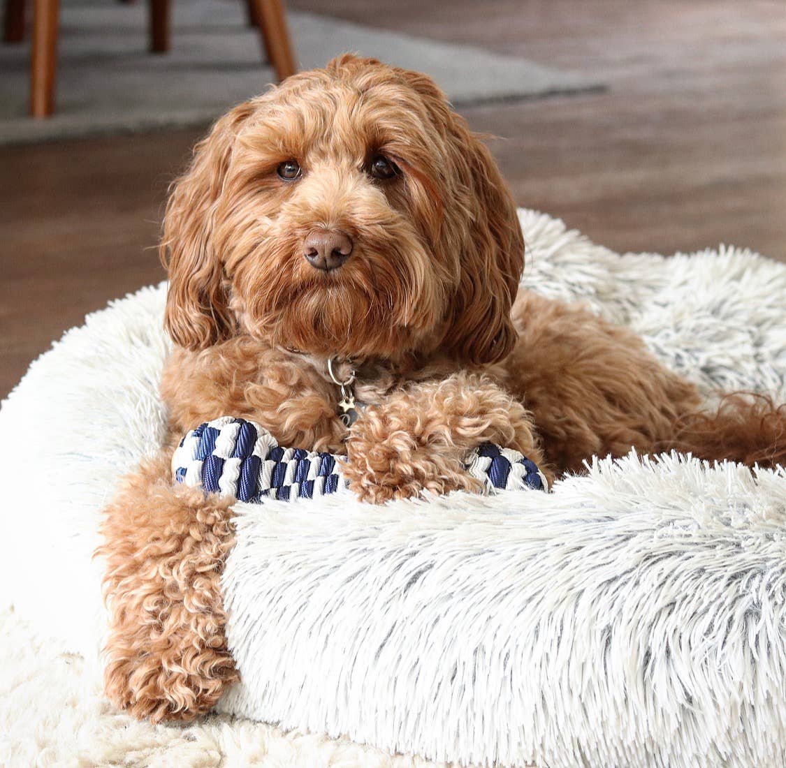 Tall Tails - Tall Tails Braided Bone Toy, Navy - 9"
