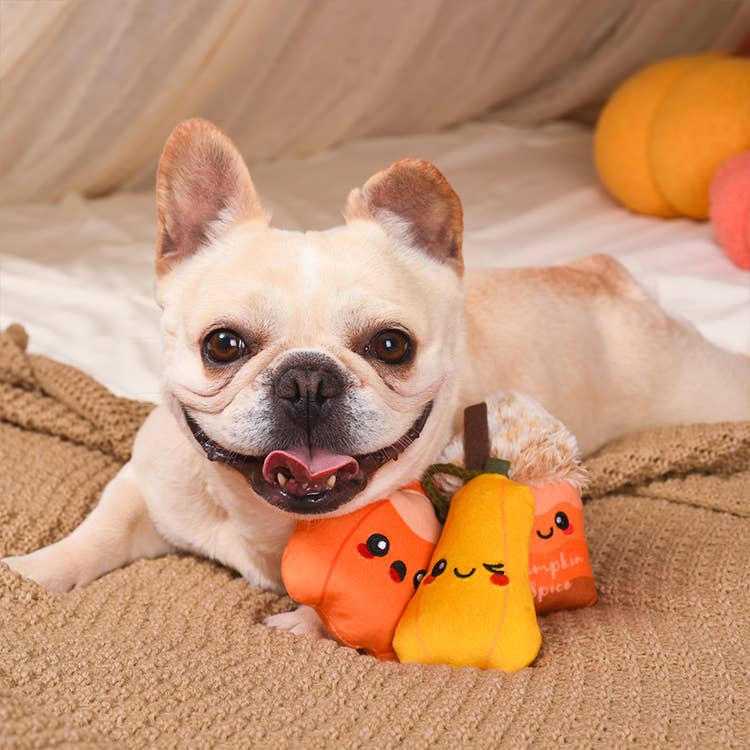 Hugsmart Products Inc - HugSmart Pet - Autumn Tailz | Pumpkin Play - Dog Plush Toy