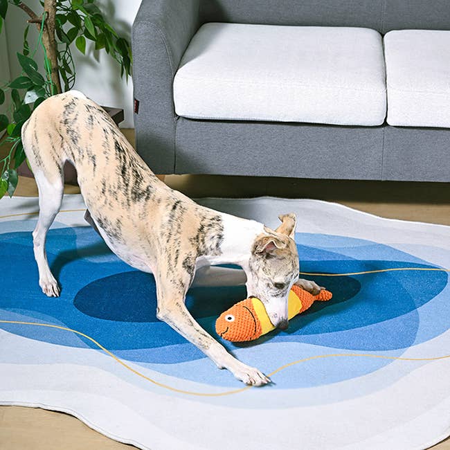Hugsmart Products Inc - Orilandpet - Food Party | Shaky Fish Taco - Dog Plush Toy